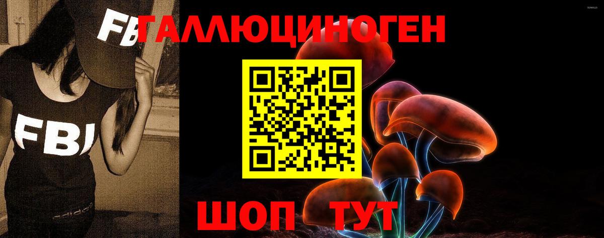 как найти   Псилоцибиновые грибы MAGIC MUSHROOMS  Вход с VPN  Галлюциногенные грибы Cubensis  Дзержинск 