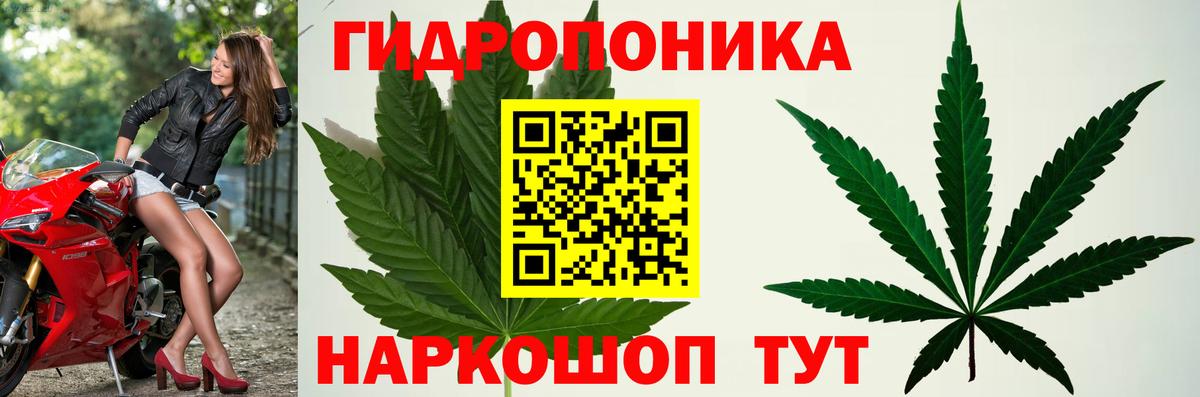 Бошки марихуана семена Дзержинск